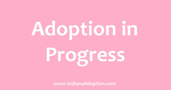 Adoption_In_Progress
