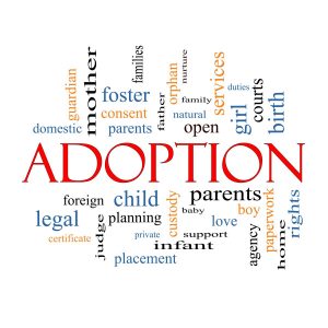 Best adoption agency