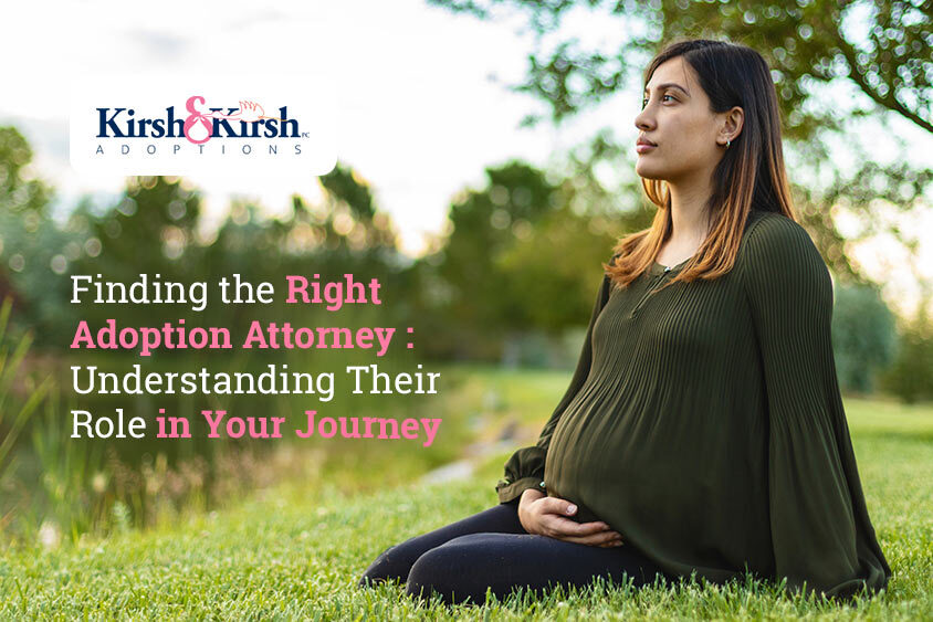 Finding the Right Adoption Attorney: Understanding Their Role in Your Journey